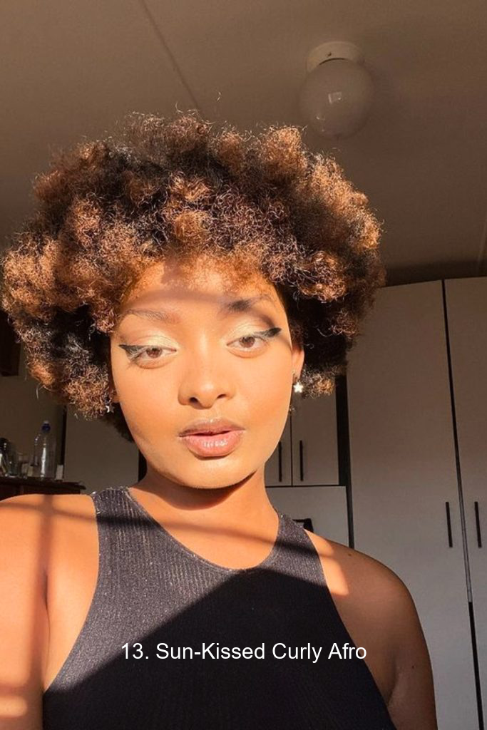 13. Sun-Kissed Curly Afro