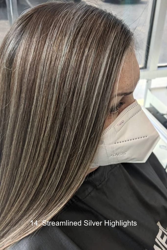 14. Streamlined Silver Highlights