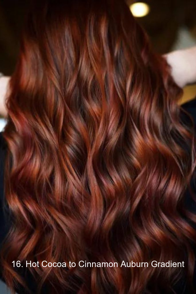 16. Hot Cocoa to Cinnamon Auburn Gradient
