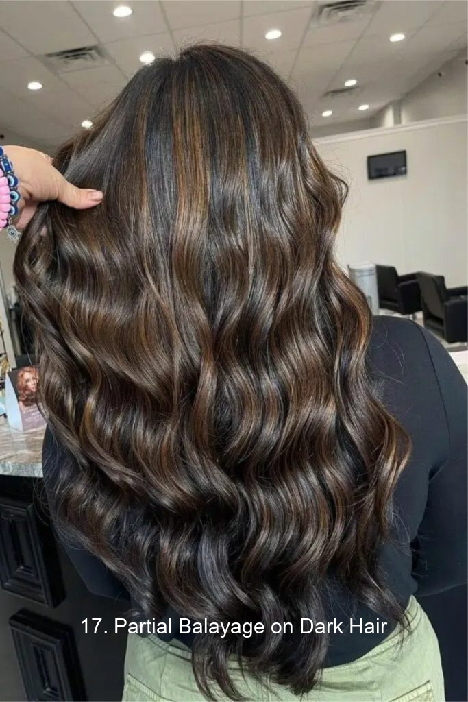17. Partial Balayage on Dark Hair