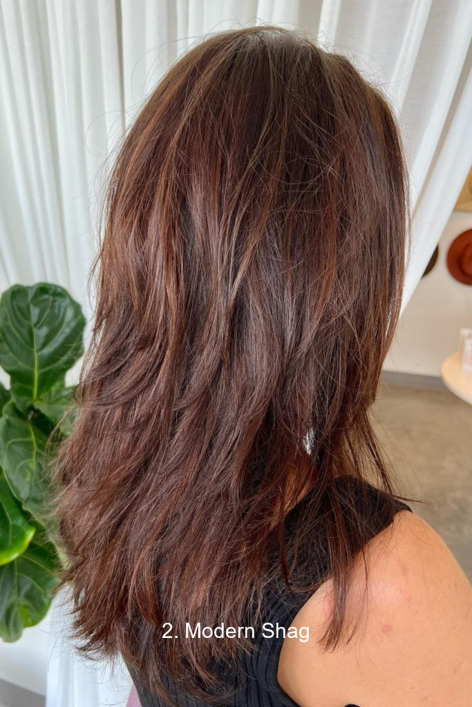 2. Modern Shag