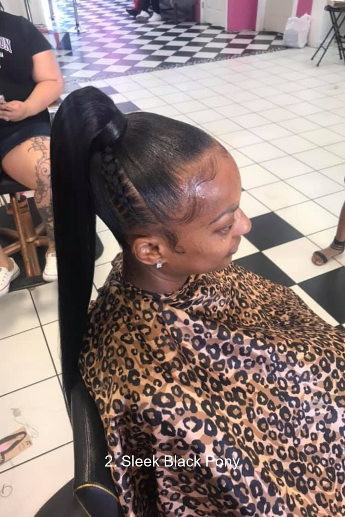 2. Sleek Black Pony