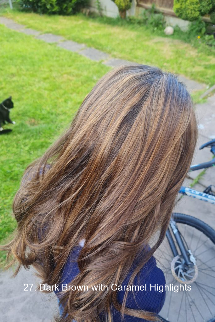 27. Dark Brown with Caramel Highlights