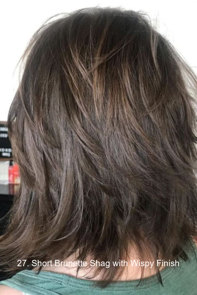 27. Short Brunette Shag with Wispy Finish