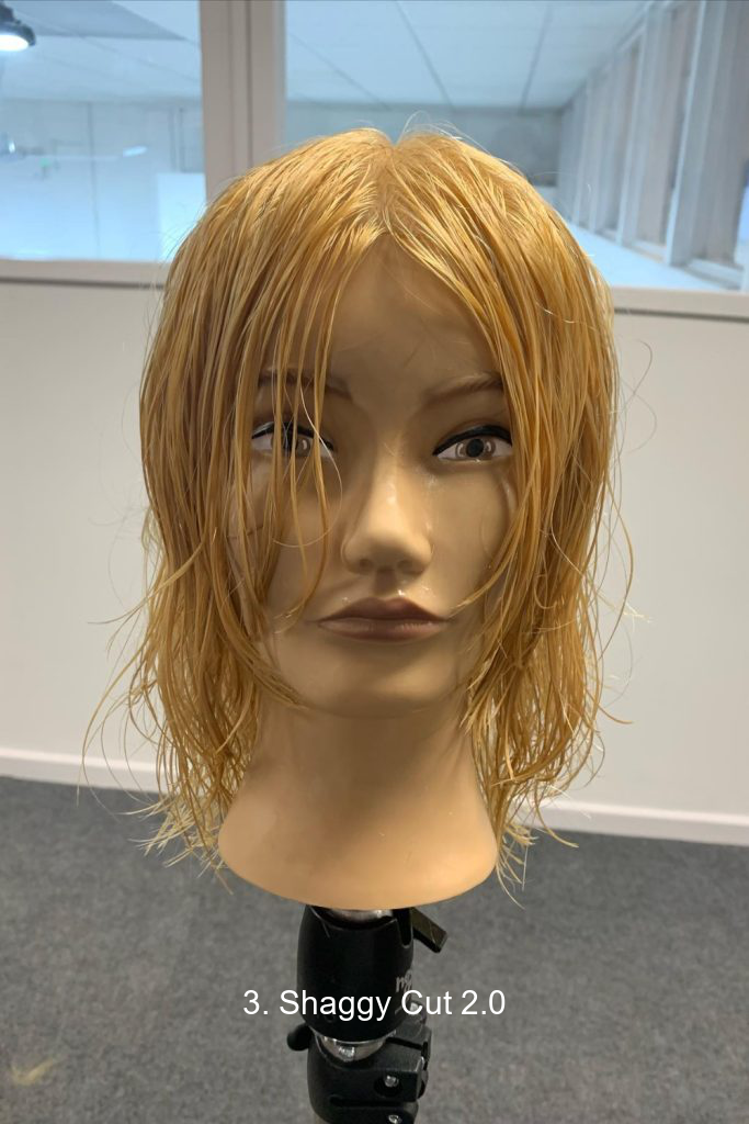 3. Shaggy Cut 2.0