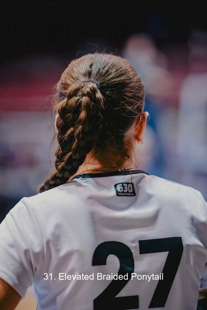 31. Elevated Braided Ponytail
