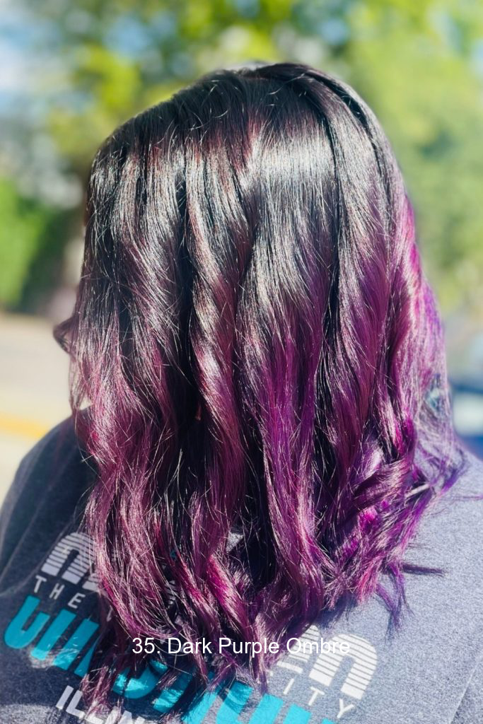 35 Hair Color for Black Hair