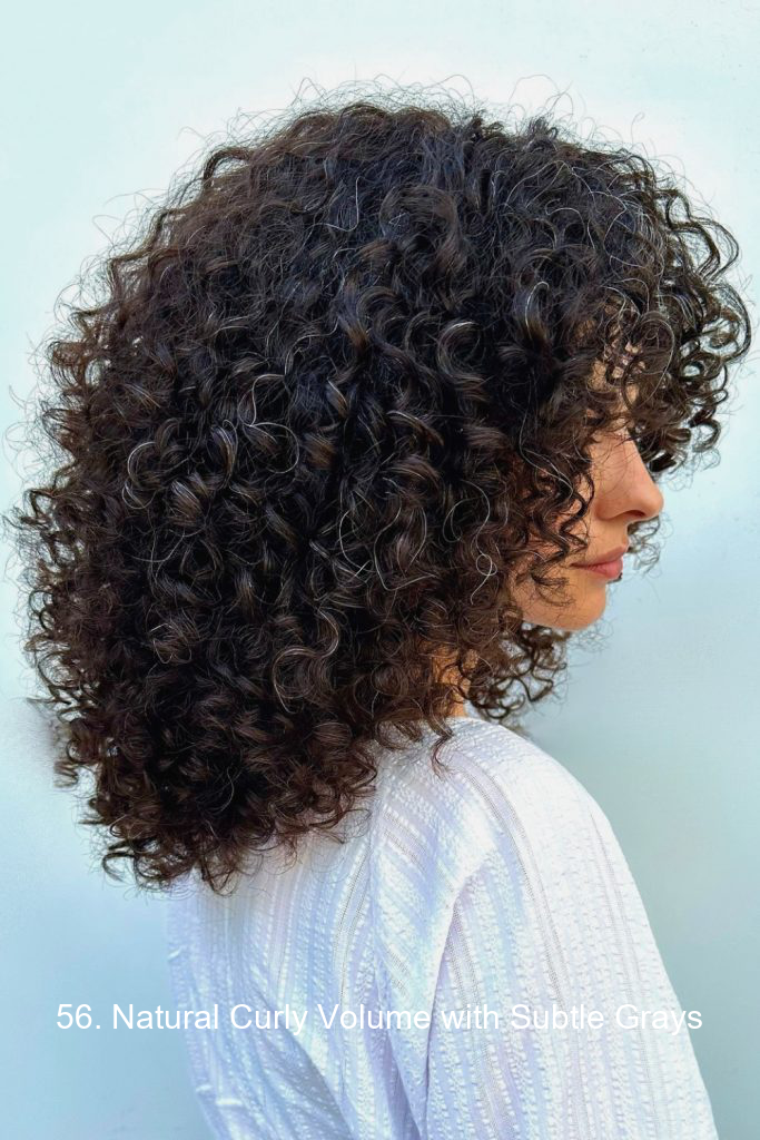56. Natural Curly Volume with Subtle Grays